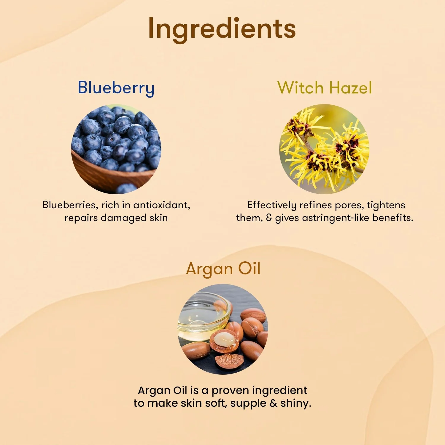 The Skin Story Simple Skincare Trio (CTM) (The Skin Story Blueberry Facewash, 100g The Skin Story Witch Hazel Toner, 100ml The Skin Story Argan Infinity Cream, 50g) - Image 5